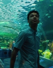 Filename=Every_Day_mp40440.jpg
Filesize=973KiB
Dimensions=1920x804
Date added=Aug 17, 2021 Every_Day_mp40440.jpg