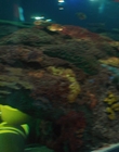 Filename=Every_Day_mp40448.jpg
Filesize=743KiB
Dimensions=1920x804
Date added=Aug 17, 2021 Every_Day_mp40448.jpg
