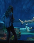 Filename=Every_Day_mp40461.jpg
Filesize=683KiB
Dimensions=1920x804
Date added=Aug 17, 2021 Every_Day_mp40461.jpg