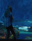 Filename=Every_Day_mp40462.jpg
Filesize=689KiB
Dimensions=1920x804
Date added=Aug 17, 2021 Every_Day_mp40462.jpg
