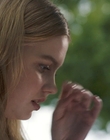 Filename=Every_Day_mp40597.jpg
Filesize=717KiB
Dimensions=1920x804
Date added=Aug 17, 2021 Every_Day_mp40597.jpg