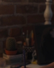 Filename=Every_Day_mp43153.jpg
Filesize=546KiB
Dimensions=1920x804
Date added=Aug 17, 2021 Every_Day_mp43153.jpg