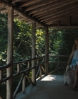 Filename=Every_Day_mp43324.jpg
Filesize=906KiB
Dimensions=1920x804
Date added=Aug 17, 2021 Every_Day_mp43324.jpg