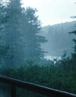 Filename=Every_Day_mp43518.jpg
Filesize=783KiB
Dimensions=1920x804
Date added=Aug 17, 2021 Every_Day_mp43518.jpg