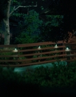 Filename=The_Last_Thing_He_Told_Me_S01E01_mkv1627.jpg
Filesize=981KiB
Dimensions=1920x960
Date added=Apr 17, 2023 The_Last_Thing_He_Told_Me_S01E01_mkv1627.jpg