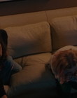 Filename=The_Last_Thing_He_Told_Me_S01E03_mkv1914.jpg
Filesize=987KiB
Dimensions=1920x960
Date added=Apr 25, 2023 The_Last_Thing_He_Told_Me_S01E03_mkv1914.jpg