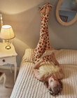 outtakesMQ_281629.jpg